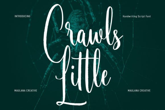 Enhance Your Campaigns with Little Crawls Font