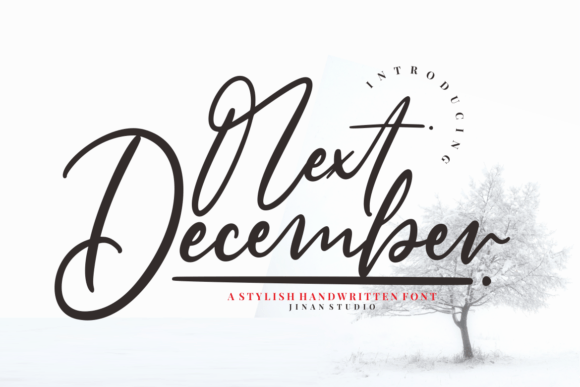 Next December: A Stylish Script Font for Engaging Campaigns